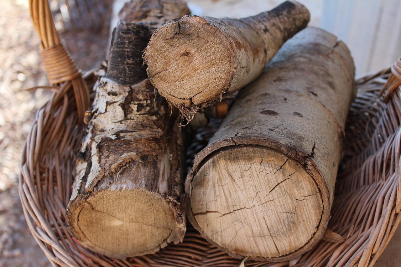 Gelagerte Holzscheite mit sichtbaren Trocknungsrissen als Beispiel für die richtige Restfeuchte von Kaminholz.