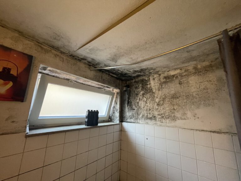 Stark verschimmeltes Badezimmer mit schwarzen Schimmelflecken an Wänden und Decke, Fenster steht auf Kipp – Mietminderung wegen Schimmel möglich.