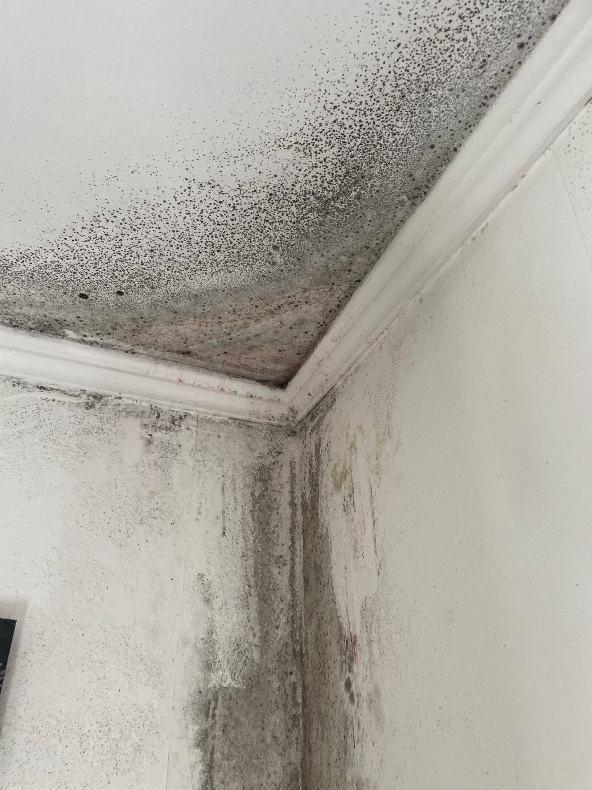 Starker Schimmel im Schlafzimmer an einer Außenwandecke mit Schimmelbildung an Wand und Decke durch Feuchtigkeit und Kondensation.